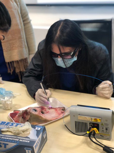 Tishk International University | Faculty of Dentistry