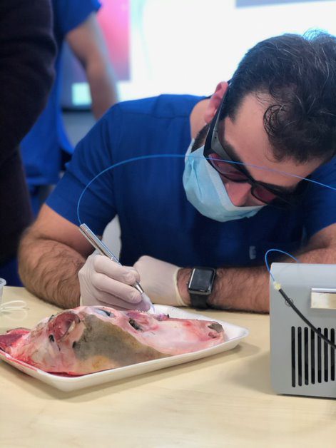 Tishk International University | Faculty of Dentistry